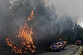 OITO CONCELHOS DO PAÍS EM RISCO MUITO ELEVADO DE INCÊNDIO – IPMA