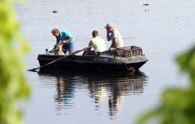 QUERCUS ALERTA PARA PEIXES MORTOS E ESPUMA NA ÁGUA DO RIO TEJO