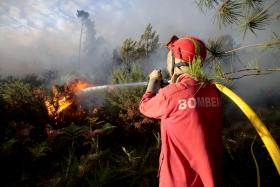 INCÊNDIOS: CERCA DE 150 OPERACIONAIS COMBATEM CHAMAS NA ZONA DE ALQUEVA