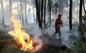 FOGO EM TORRE DE MONCORVO DADO COMO DOMINADO