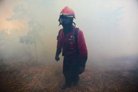 FOGO NA SERRA DA ESTRELA DADO COMO DOMINADO, BOMBEIROS FERIDOS EM OBSERVAÇÃO