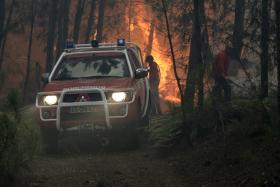 INCÊNDIOS: SOBE PARA 300 NÚMERO DE OPERACIONAIS NO COMBATE AO FOGO NO CONCELHO DE BELMONTE