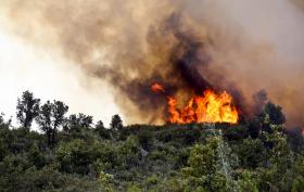 MAIS DE 2.400 OPERACIONAIS COMBATERAM 109 INCÊNDIOS HOJE ATÉ ÀS 18:45