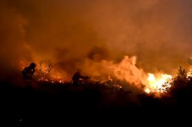 INCÊNDIOS: FOGOS EM TERRAS DE BOURO E SABUGAL MOBILIZAM 225 OPERACIONAIS