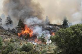 UM TOTAL DE 117 FOGOS REGISTADOS ATÉ ÀS 18:45 DE HOJE