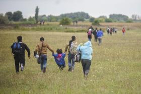 CERCA DE 300 MIGRANTES FOGEM DE CAMPO NA HUNGRIA