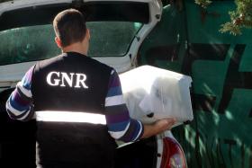 CADÁVER ENCONTRADO EM LOURES DEVERÁ SER DE UM HOMEM – GNR