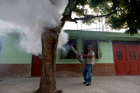 BRASIL AUTORIZA VENDA DE TESTES QUE DETETAM ZIKA, CHIKUNGUNYA E DENGUE DE FORMA COMBINADA