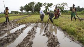 CAMPONESES DA GUINÉ-BISSAU VÃO PASSAR A COMPARTICIPAR AQUISIÇÃO DE ALFAIAS AGRÍCOLAS