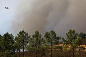 VALORES DA ÁREA ARDIDA E FOGOS SÃO OS MAIS BAIXOS DOS ÚLTIMOS 10 ANOS