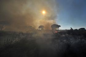 LINHA DA BEIRA ALTA NOVAMENTE INTERROMPIDA DEVIDO A UM INCÊNDIO