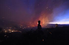 INCÊNDIOS: CIRCULAÇÃO NA LINHA DA BEIRA ALTA FOI RESTABELECIDA ÀS 00:30