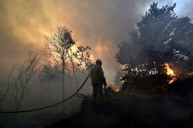 INCÊNDIOS: TREZE FOGOS PREOCUPAM, O DE ÁGUEDA É O QUE MOBILIZA MAIS MEIOS