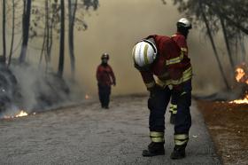 INCÊNDIOS: DGS AVISA QUE O LEITE “NÃO É ANTÍDOTO” PARA INALAÇÃO DE FUMO