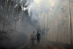 TRINTA E QUATRO CONCELHOS DO CONTINENTE EM RISCO ‘MÁXIMO’ DE INCÊNDIO