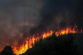 INCÊNDIOS: FOGO DE ABRANTES TEM DUAS FRENTES ATIVAS E ESTÁ CONTROLADO – AUTARCA