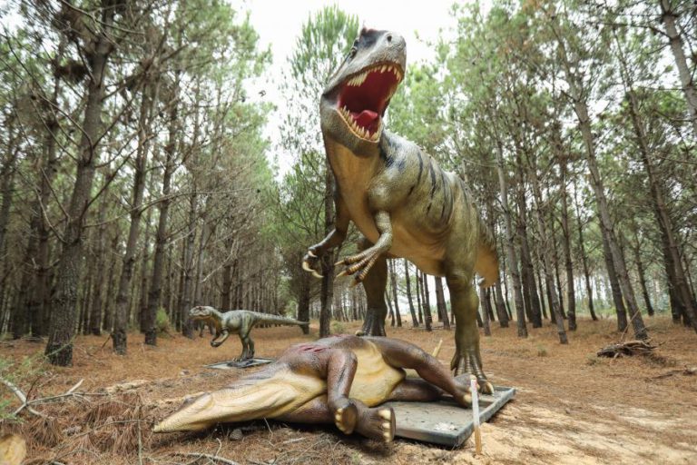 DINO PARQUE DA LOURINHÃ ULTRAPASSOU 350 MIL VISITANTES E PREPARA NOVAS ATRAÇÕES