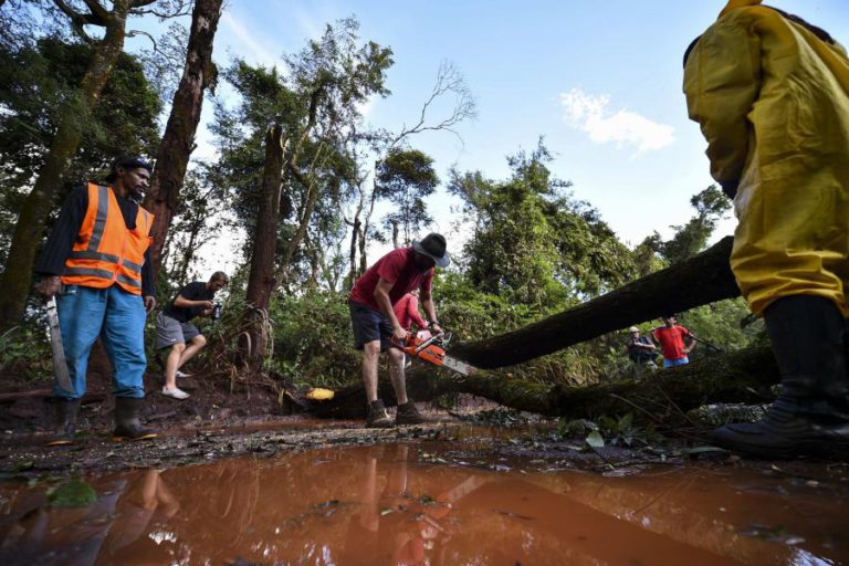 RELATÓRIO DE ONG CONCLUI QUE RUTURA DE BARRAGEM EM BRUMADINHO CONTAMINOU PELO MENOS 305 QUILÓMETROS DE RIO