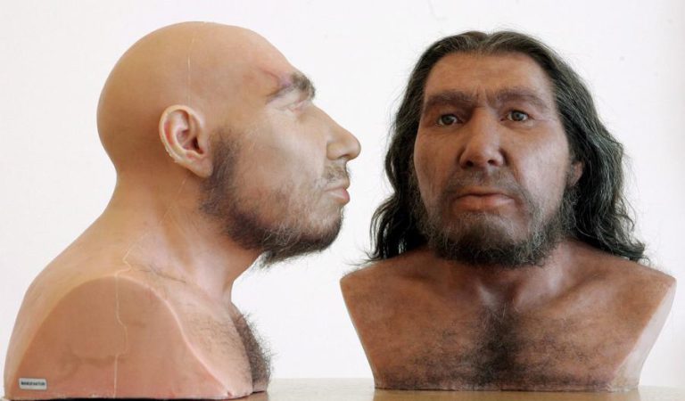 ENDOGAMIA EM GRUPOS PEQUENOS AJUDOU À EXTINÇÃO DOS NEANDERTAL