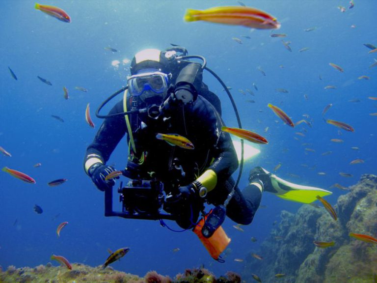 MUCO QUE COBRE PEIXES PODE SER FONTE DE NOVOS ANTIBIÓTICOS