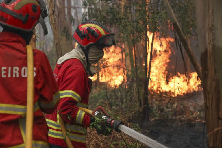 TRÊS CONCELHOS DE SANTARÉM E PORTALEGRE EM RISCO MUITO ELEVADO DE INCÊNDIO