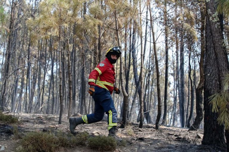 INCÊNDIOS: FOGO QUE COMEÇOU EM PROENÇA-A-NOVA NO DOMINGO FICOU EM RESOLUÇÃO