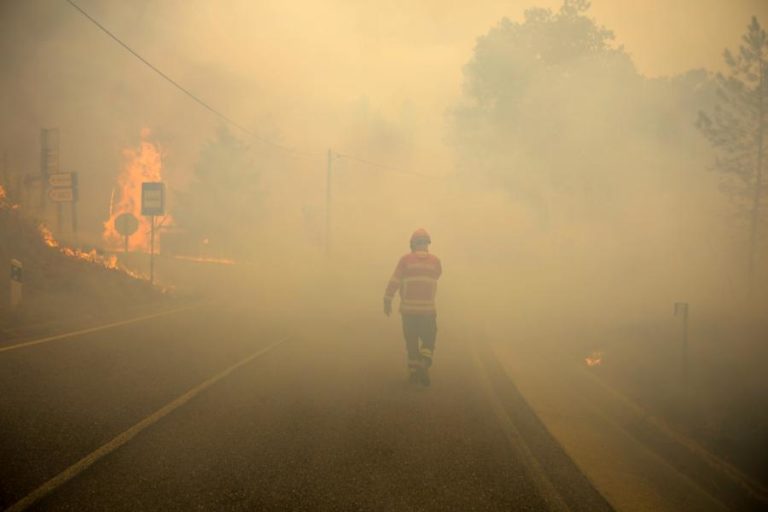 MAIS DE 800 OPERACIONAIS COMBATEM FOGO EM PROENÇA-A-NOVA