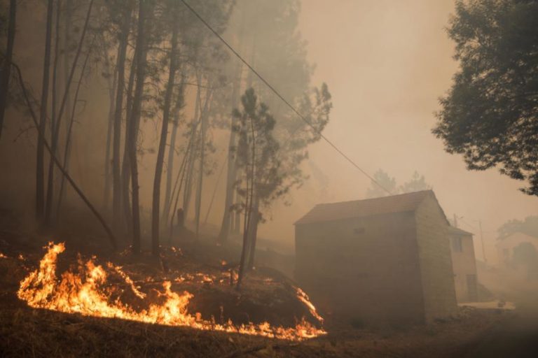 INCÊNDIOS: PREJUÍZOS DE SETE MILHÕES DE EUROS EM PROENÇA-A-NOVA