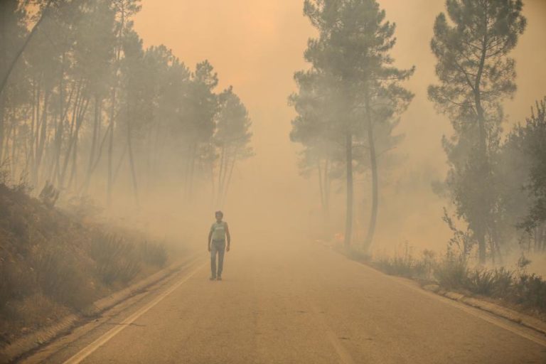 INCÊNDIOS: HABITANTES DA ÁREA ATINGIDA PELO FOGO DE PROENÇA-A-NOVA DEVEM MANTER ESTADO DE ALERTA