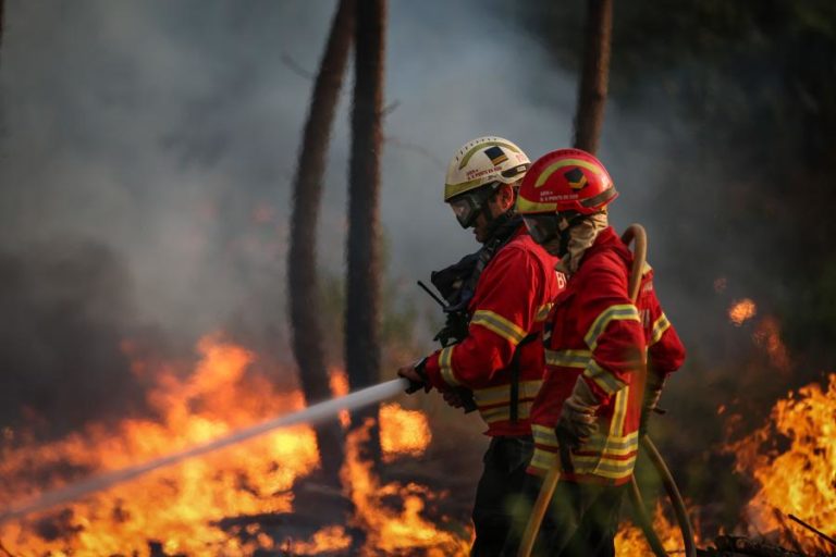 INCÊNDIOS: PROTEÇÃO CIVIL ESPERA DOMINAR FOGO DE PROENÇA-A-NOVA DURANTE A MADRUGADA