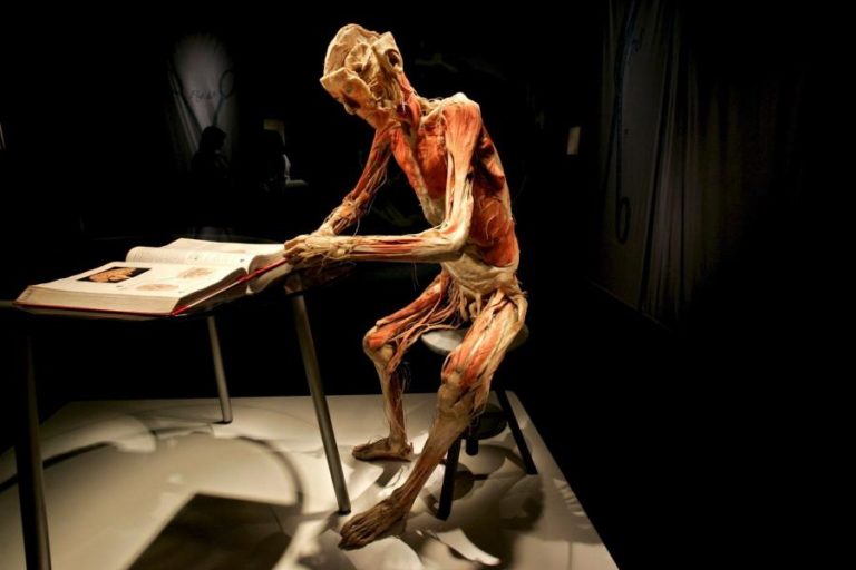 COVID-19: EXPOSIÇÃO ‘BODIES’ MOSTRA EM LAS VEGAS EFEITO DA DOENÇA NO CORPO HUMANO