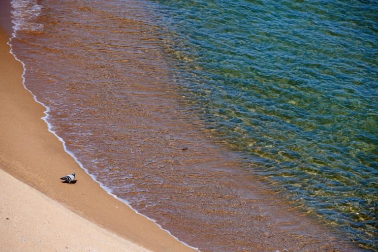 NÍVEL DO MAR PODE SUBIR MAIS DO QUE O CALCULADO EM ATUAIS PREVISÕES – ESTUDO