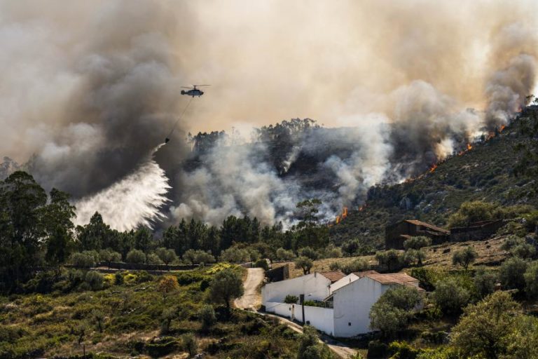 Programa Nacional de Ação sobre gestão dos fogos rurais “exige trabalho brutal”