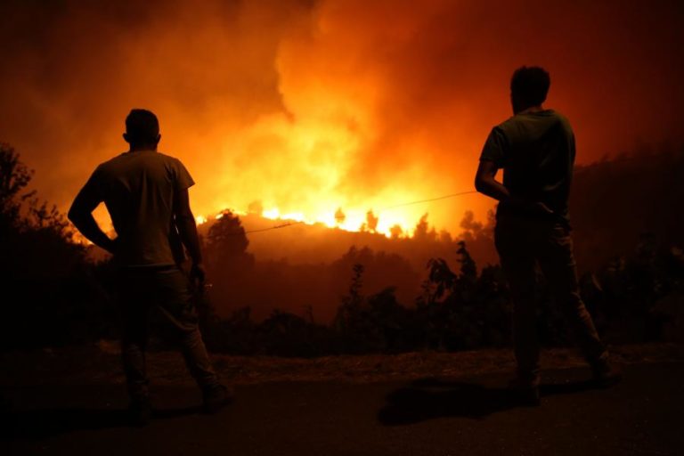 Incêndios: Gerir risco eficientemente é “gastar menos dinheiro por área ardida”