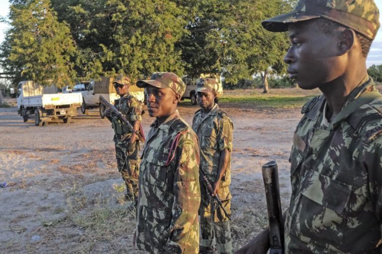 Moçambique/Ataques: Forças governamentais estão a fazer de tudo para devolver segurança – Frelimo