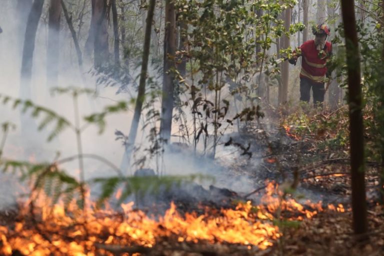 Cerca de 40 concelhos de seis distritos em perigo máximo de incêndio