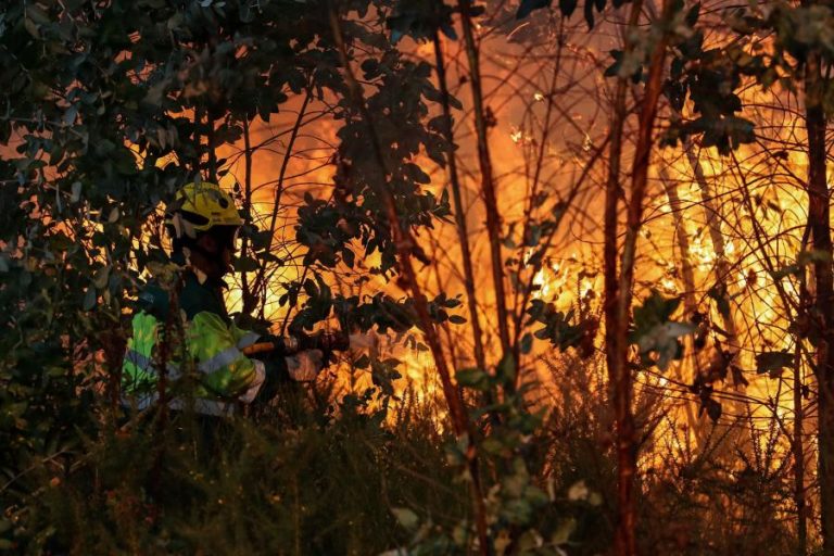 Cerca de 70 concelhos de oito distritos em perigo máximo de incêndio