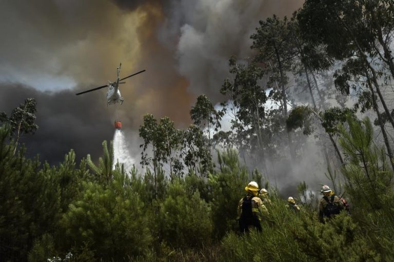 Trinta concelhos de sete distritos em perigo máximo de incêndio