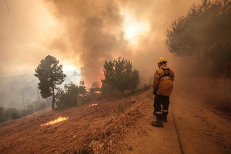 Mais de 50 concelhos de sete distritos em perigo máximo de incêndio