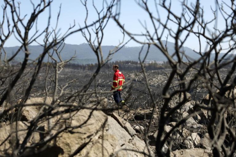 Mais de 50 concelhos de sete distritos em perigo máximo de incêndio