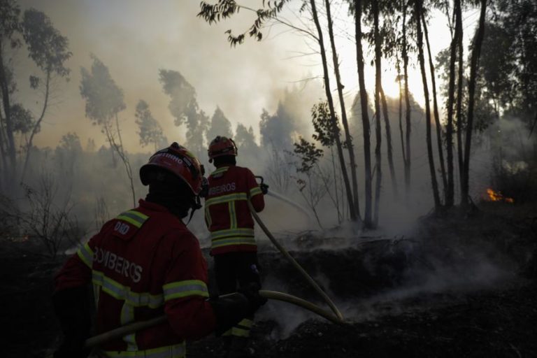 Mais de 40 concelhos de seis distritos em perigo máximo de incêndio