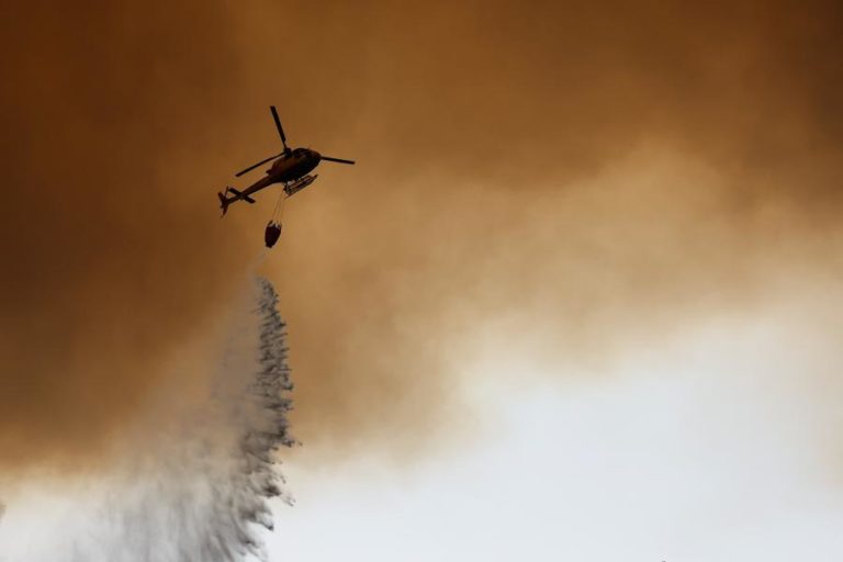 Mais de 70 concelhos do interior Norte e Centro e Algarve em perigo máximo de incêndio