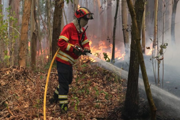 Vinte e cinco concelhos de seis distritos em perigo máximo de incêndio