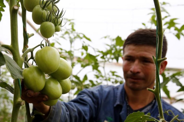 UE lança projeto em Timor-Leste para qualificar jovens e mulheres na área agroflorestal