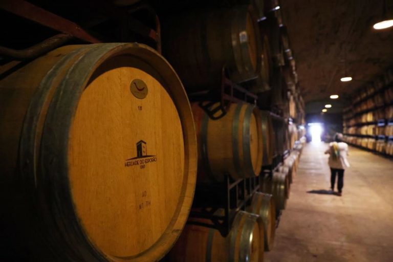 Exportações de vinhos recuam para 928 ME em 2023 mas preço sobe