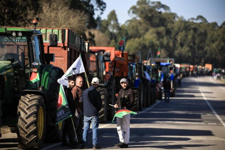 Pagamento dos ecorregimes aos agricultores  avança a partir deste mês