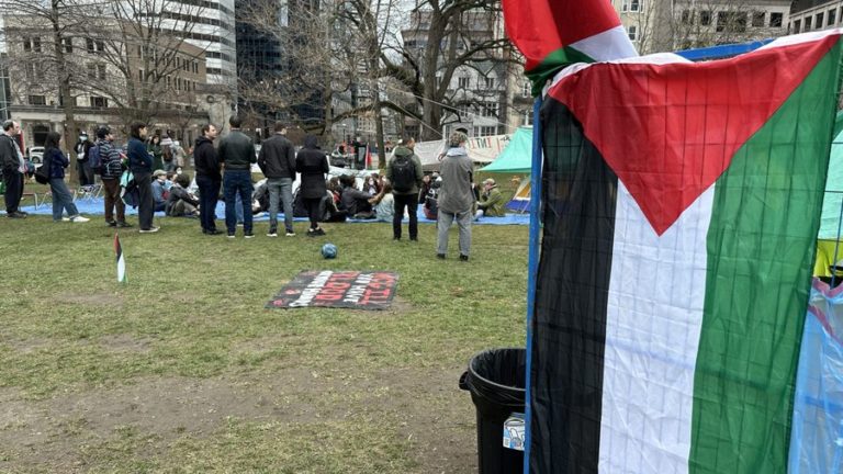 Protesto: Estudantes manifestam apoio à Palestina em acampamento junto à Universidade McGill