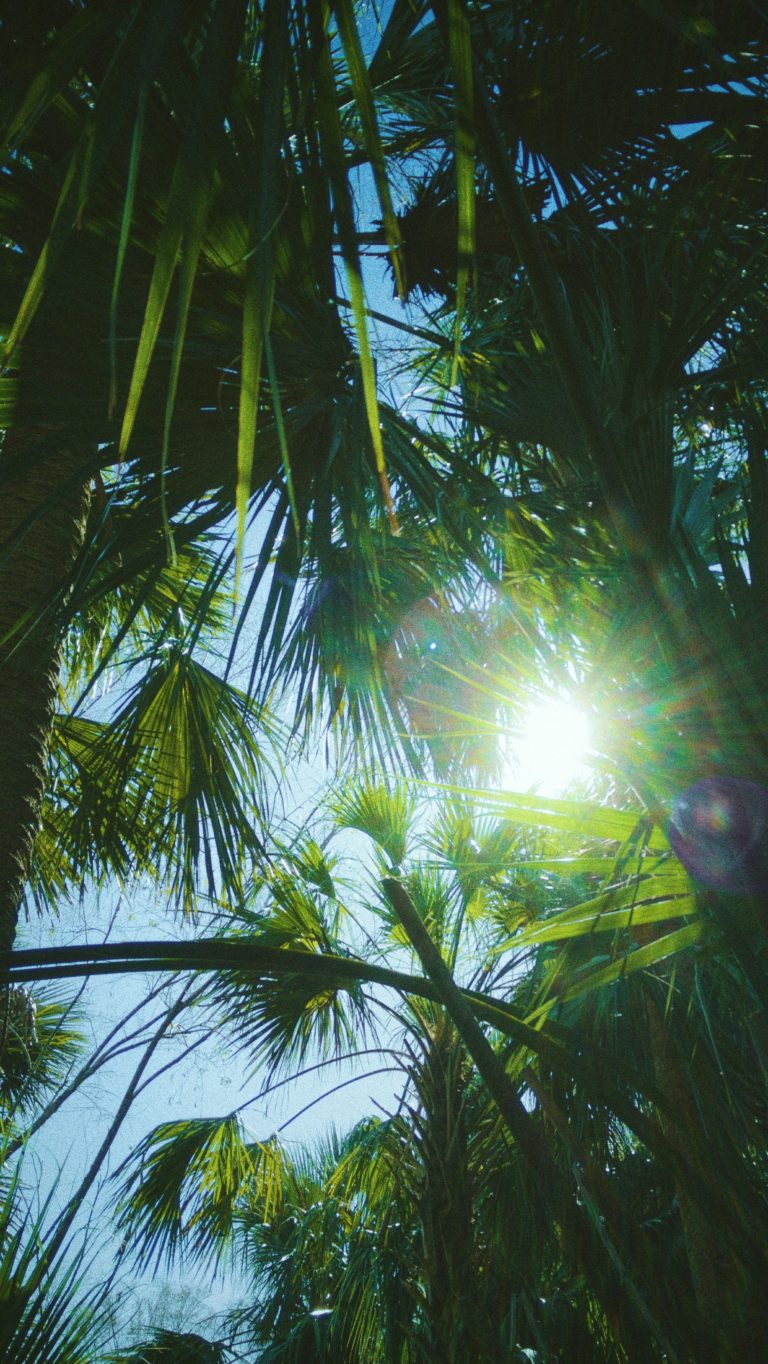 Verão no Canadá: Calor atípico no Canadá, avança Environment Canada