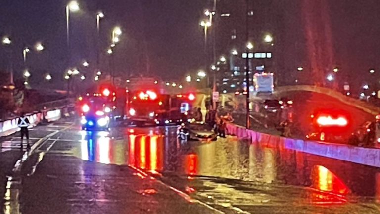 Estragos Tempestade: Inundações na Gardiner Expressway e árvores caídas em Toronto