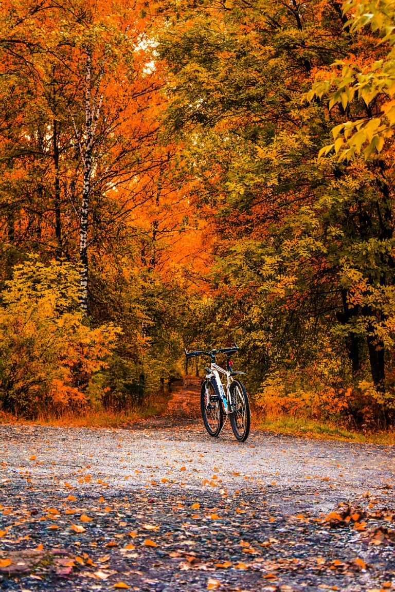 Dia do Canadá: Inauguração de novo parque gratuito em Ontário